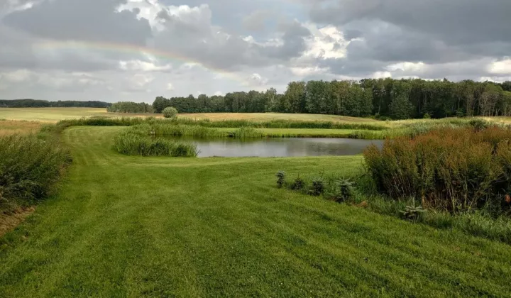 Działka rekreacyjna Ruta Gradowo