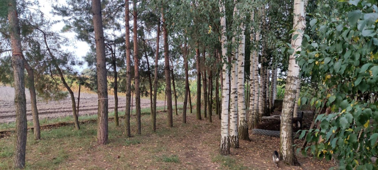 dom wolnostojący, 5 pokoi Poniatówek. Zdjęcie 18