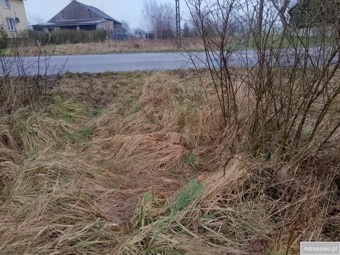 Działka rolna Jeżyczki. Zdjęcie 3