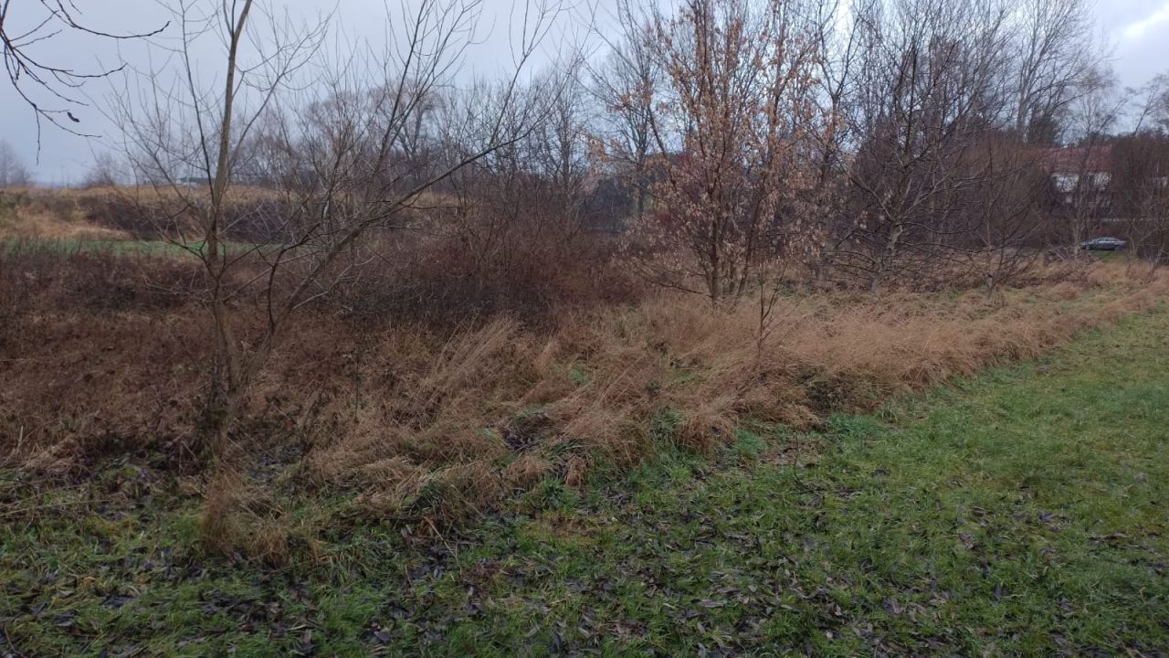 Działka budowlana Targowisko. Zdjęcie 6