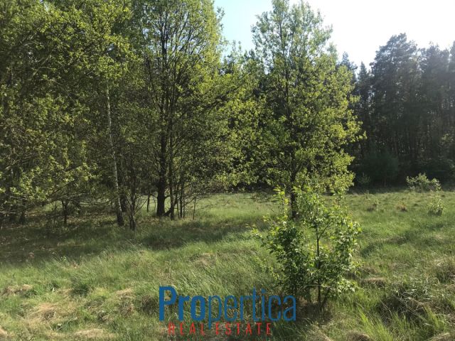 Działka budowlana Andrzejów. Zdjęcie 4