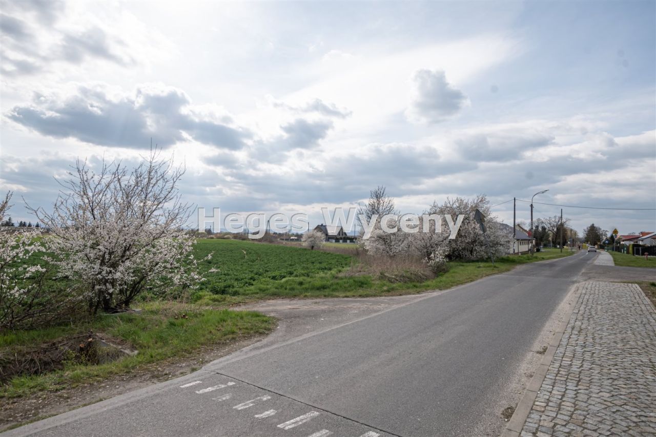 Działka inwestycyjna Snowidza. Zdjęcie 9