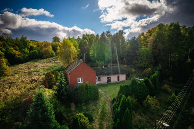 dom wolnostojący, 4 pokoje Kobyla, ul. Willowa. Zdjęcie 9