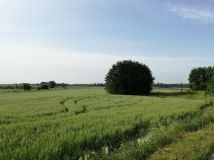 Działka rolno-budowlana Krupin. Zdjęcie 2