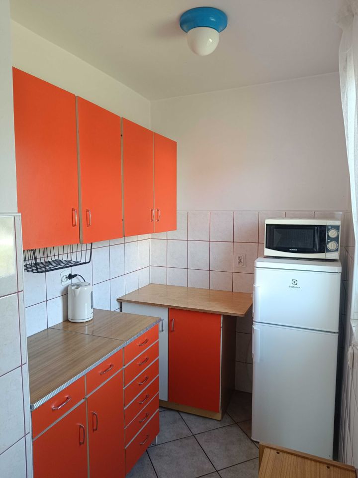 Działka rod Jagodowo osada leśna. Zdjęcie 5