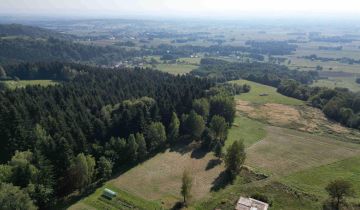 Działka rolno-budowlana Odrzykoń Bierska, ul. Leśna