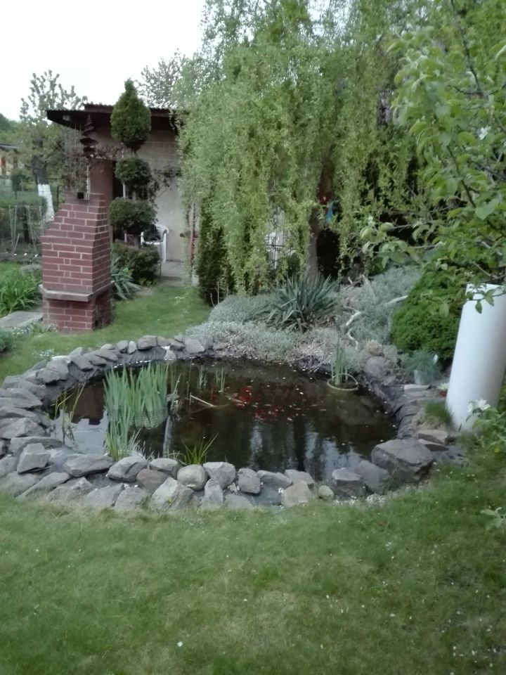 Działka rod Katowice Koszutka, ul. Brzozowa. Zdjęcie 3