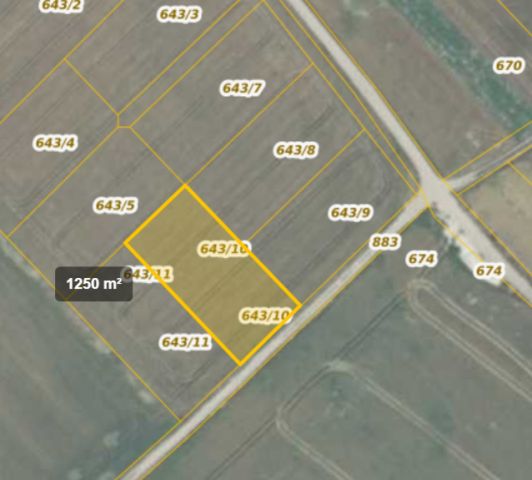 Działka rolno-budowlana Konradówka Gołaczów. Zdjęcie 1