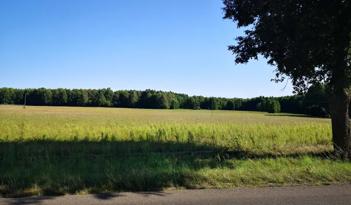 Działka budowlana Borowe