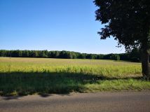 Działka budowlana Borowe. Zdjęcie 2