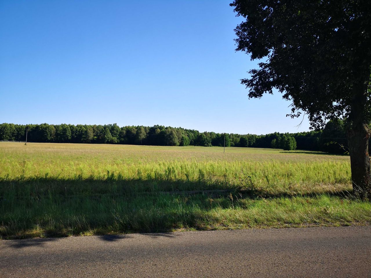 Działka budowlana Borowe. Zdjęcie 3