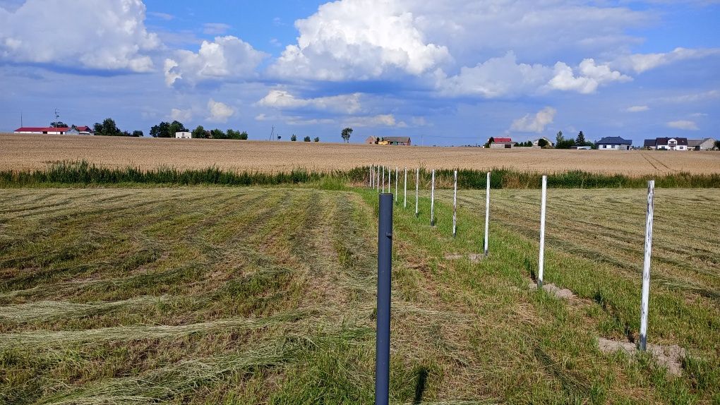 Działka budowlana Dobierzyn. Zdjęcie 5