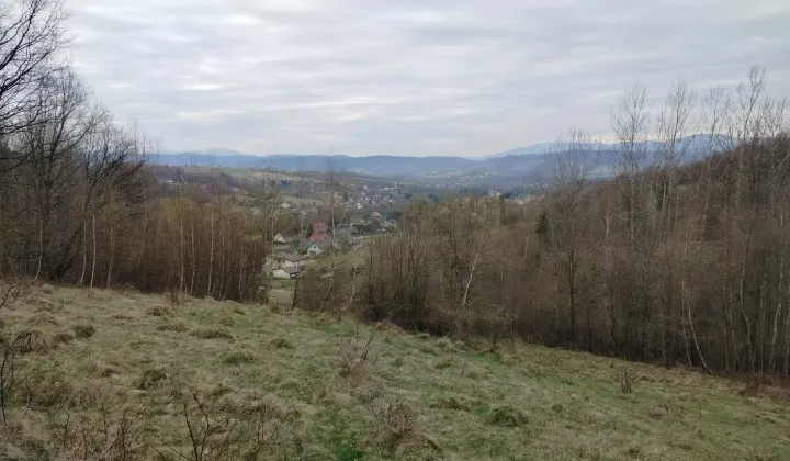 Działka rolno-budowlana Kocierz Moszczanicki, ul. Gronikowa