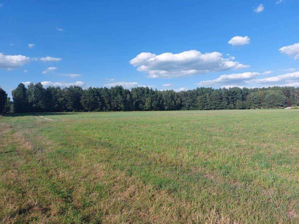 Działka rolno-budowlana Zamęty. Zdjęcie 6