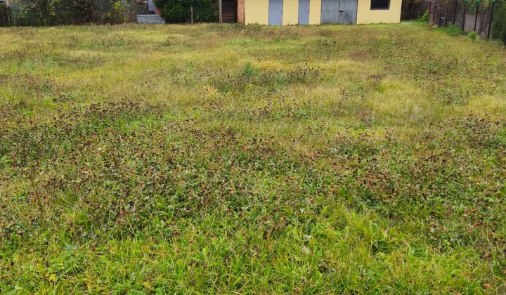 Działka budowlana Jesionka, ul. Spacerowa