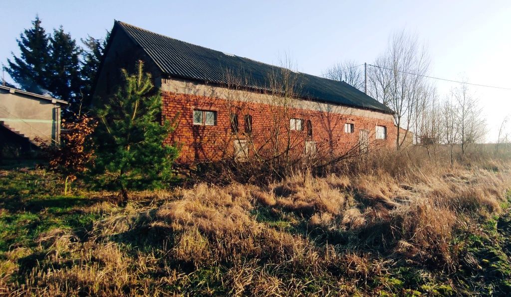 siedlisko Goryń. Zdjęcie 6