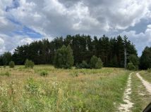 Działka rolna Lipowo Kurkowskie. Zdjęcie 2