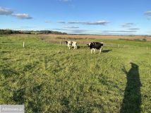 Działka budowlana Jeziorowskie. Zdjęcie 2