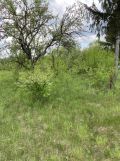 Działka rolno-budowlana Cegielnia, Cegielnia. Zdjęcie 3