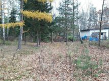 Działka budowlana Grobice. Zdjęcie 3