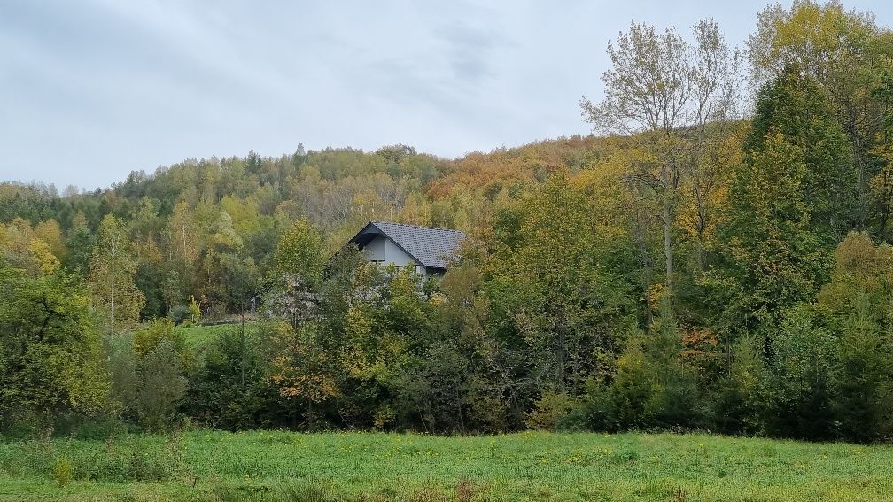 Hotel/pensjonat Wapienne. Zdjęcie 5