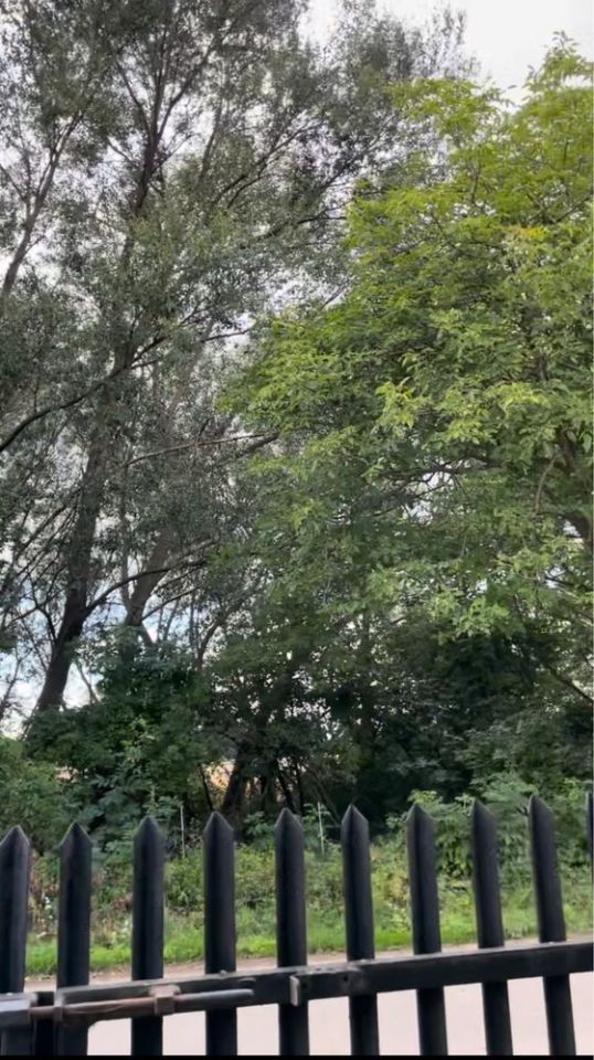 dom wolnostojący Wólka Wojcieszkowska. Zdjęcie 8