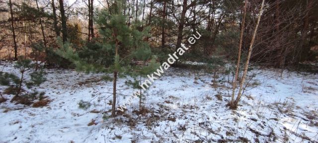 Działka budowlana Ojrzanów. Zdjęcie 5