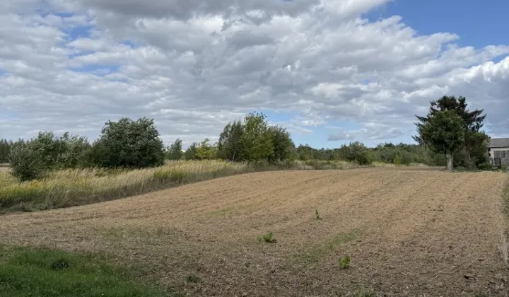 Działka budowlana Jakubowice Konińskie-Kolonia, ul. Malinowa