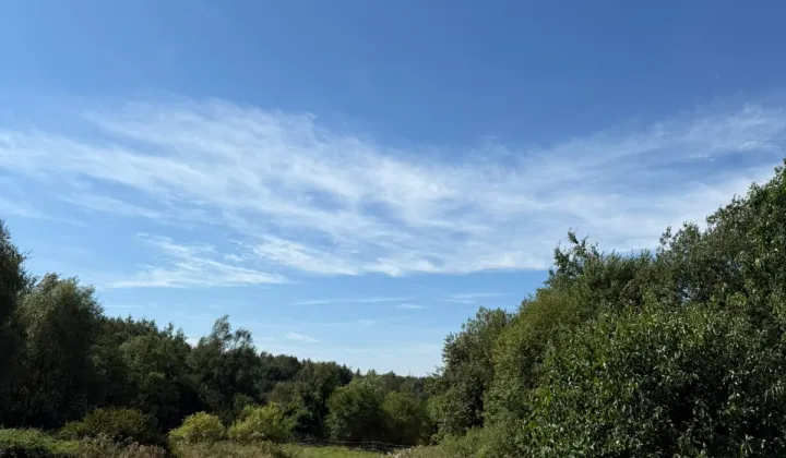Działka budowlana Ciągowice, ul. 1 Maja