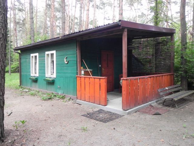 Działka leśna Sokolniki-Las, ul. Różana. Zdjęcie 1