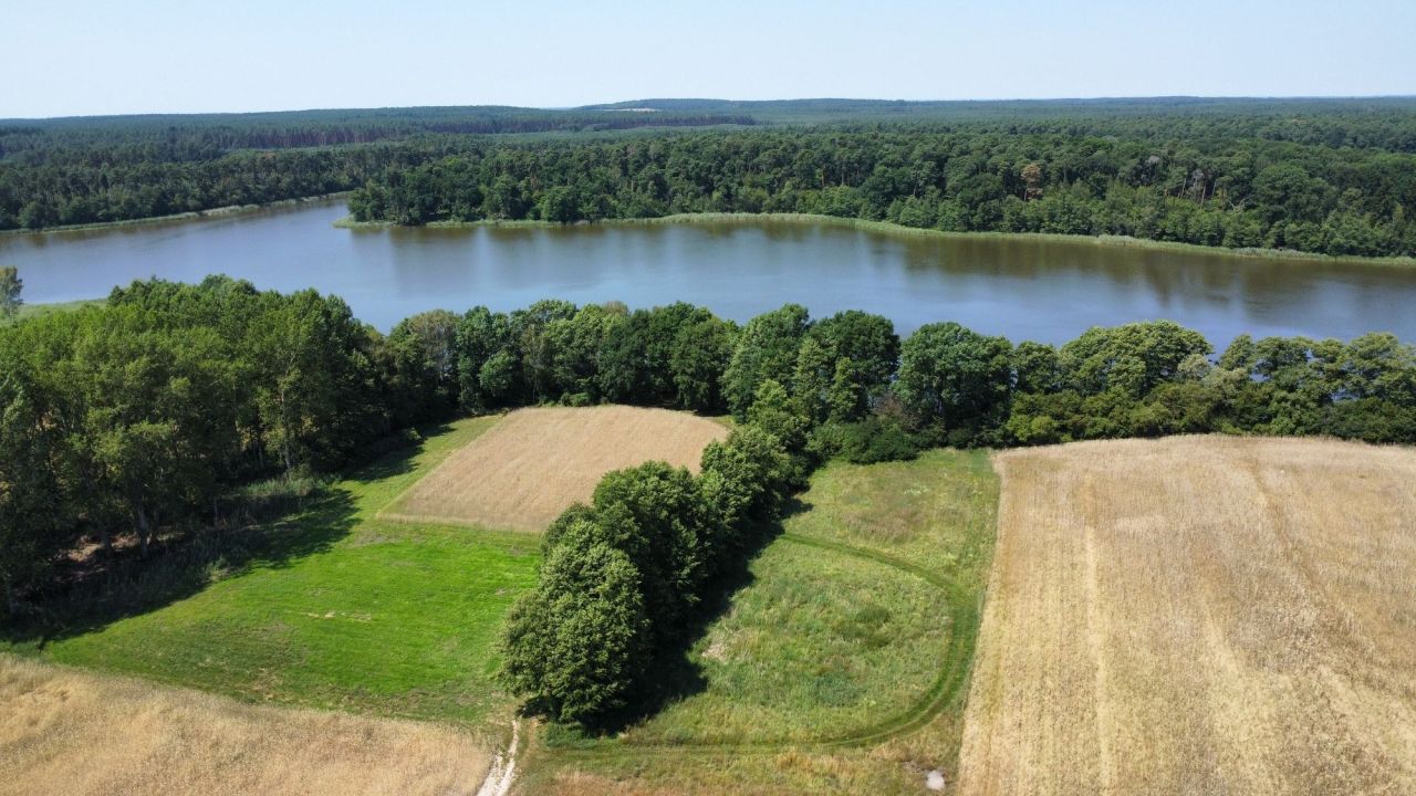 Działka rekreacyjna Radomierz. Zdjęcie 2