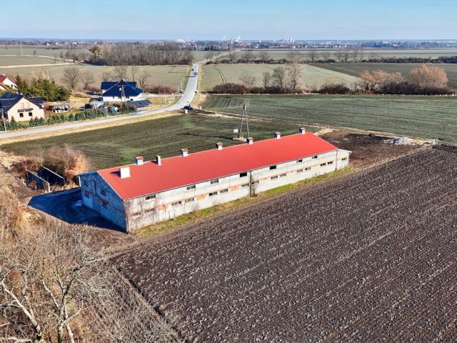 Hala/magazyn Łukaszowice. Zdjęcie 1