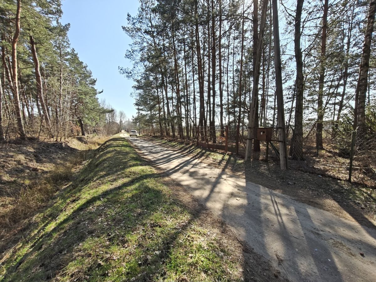 Działka budowlana Nowe Załubice, ul. Szumiących Traw. Zdjęcie 9