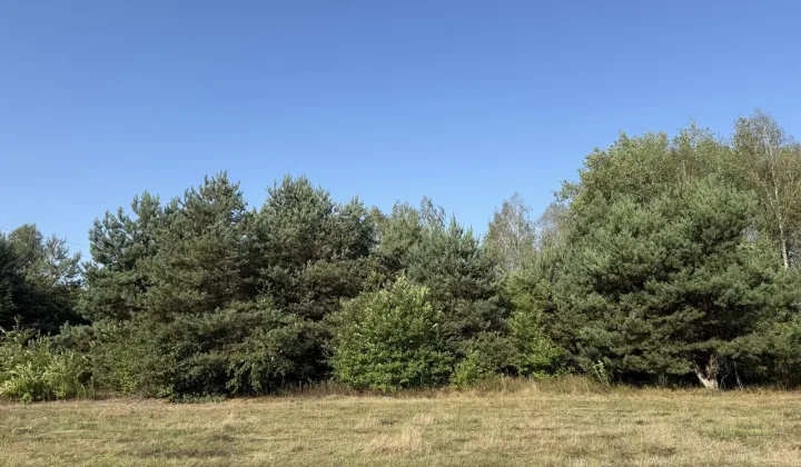 Działka budowlana Słupno, ul. Ceglana