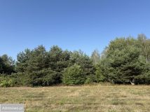 Działka budowlana Słupno, ul. Ceglana