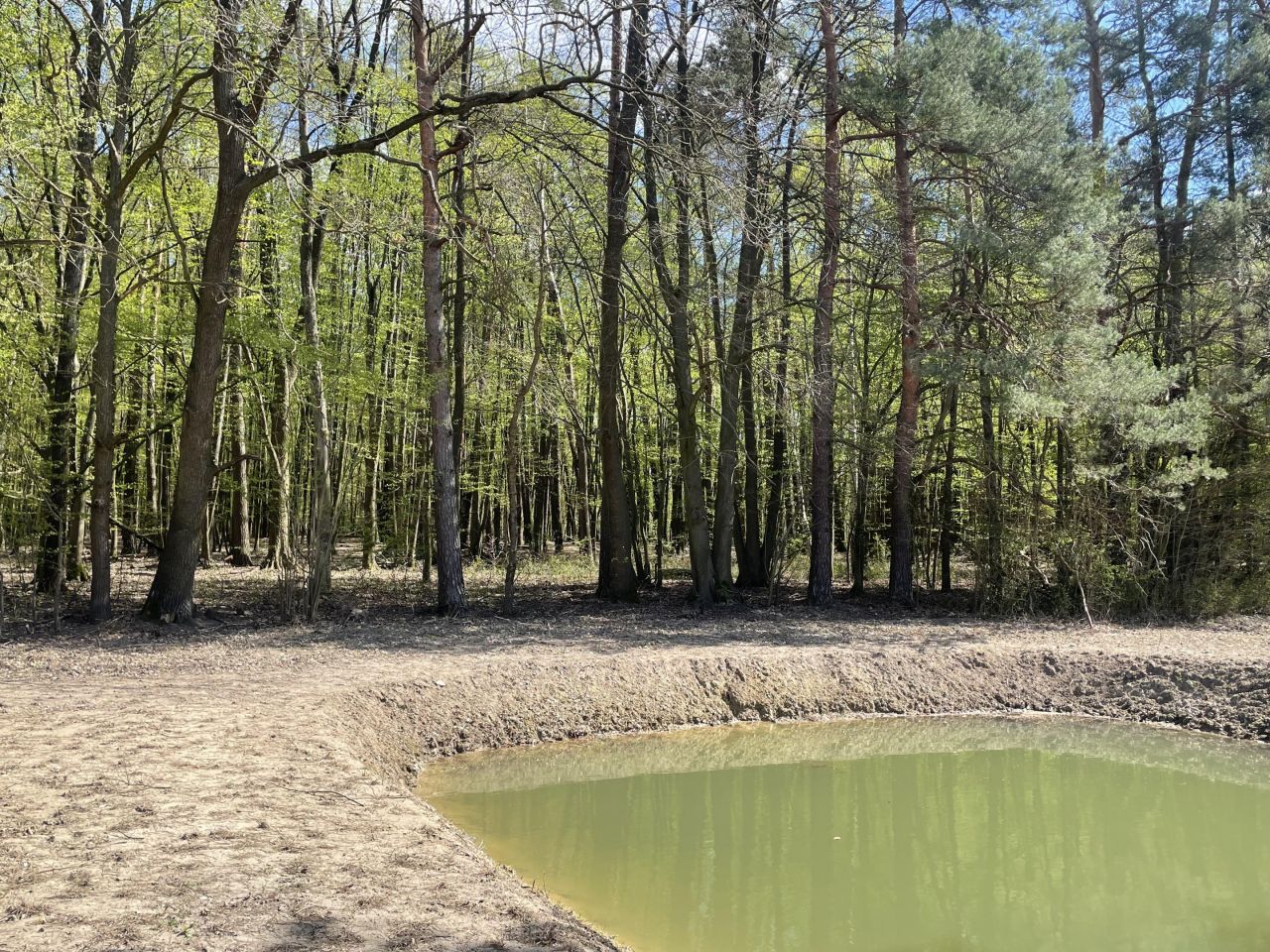 dom wolnostojący, 5 pokoi Sucha, Tartaczna. Zdjęcie 23