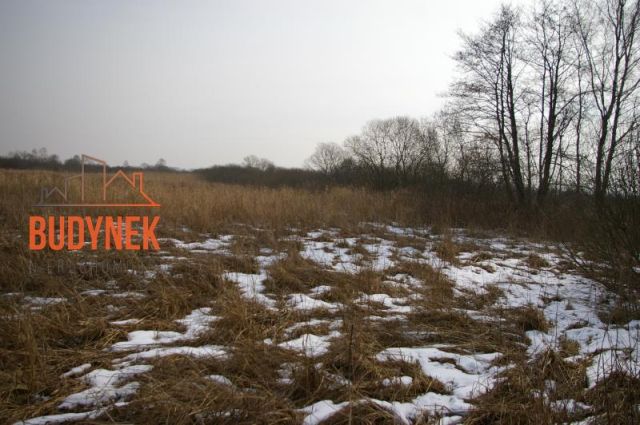 Działka rolna Malechowo. Zdjęcie 4