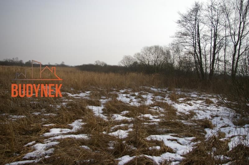 Działka rolna Malechowo. Zdjęcie 4