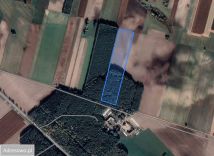 Działka rolna Ciechanowiec Ciechanowczyk. Zdjęcie 1