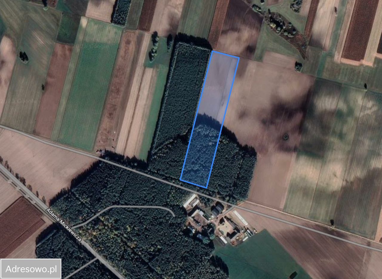 Działka rolna Ciechanowiec Ciechanowczyk. Zdjęcie 2
