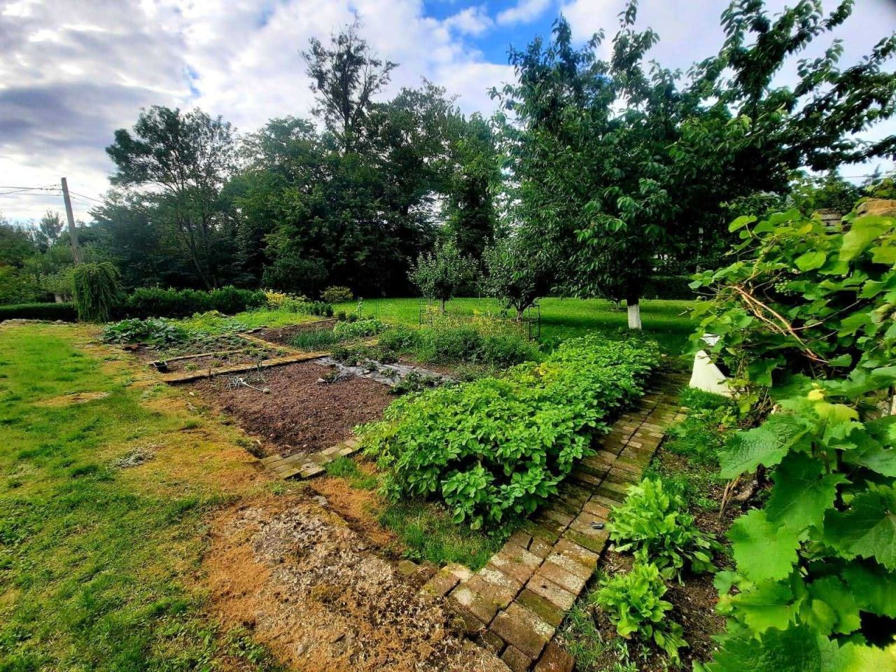 Działka budowlana Słonowice. Zdjęcie 2