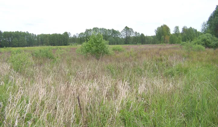 Działka rolna Jakubiki