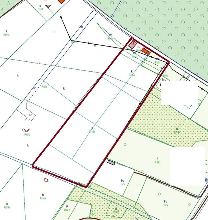 Działka siedliskowa Minoga. Zdjęcie 7