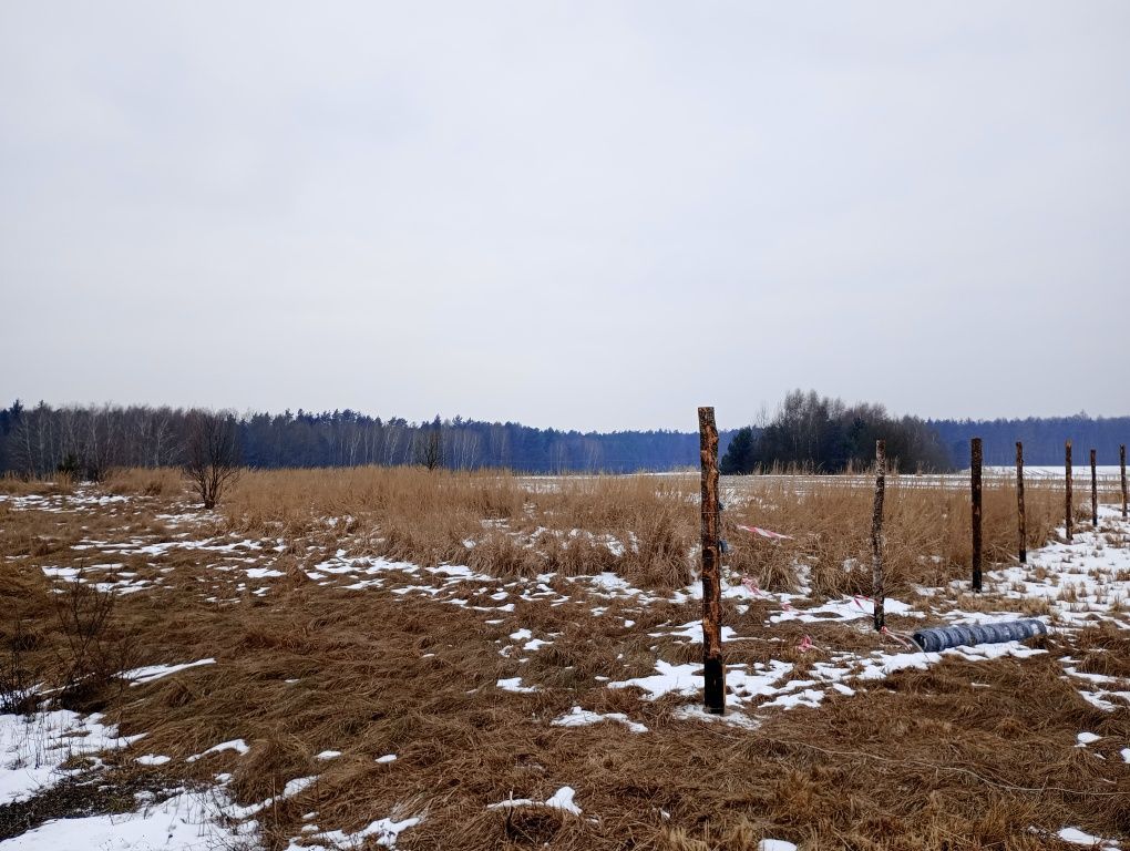 Działka budowlana Łysiny, ul. Borowiecka. Zdjęcie 4