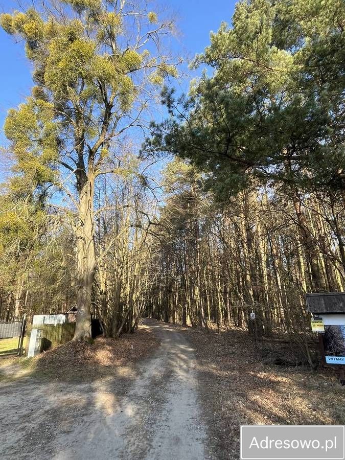 Działka siedliskowa Wytyczno. Zdjęcie 6
