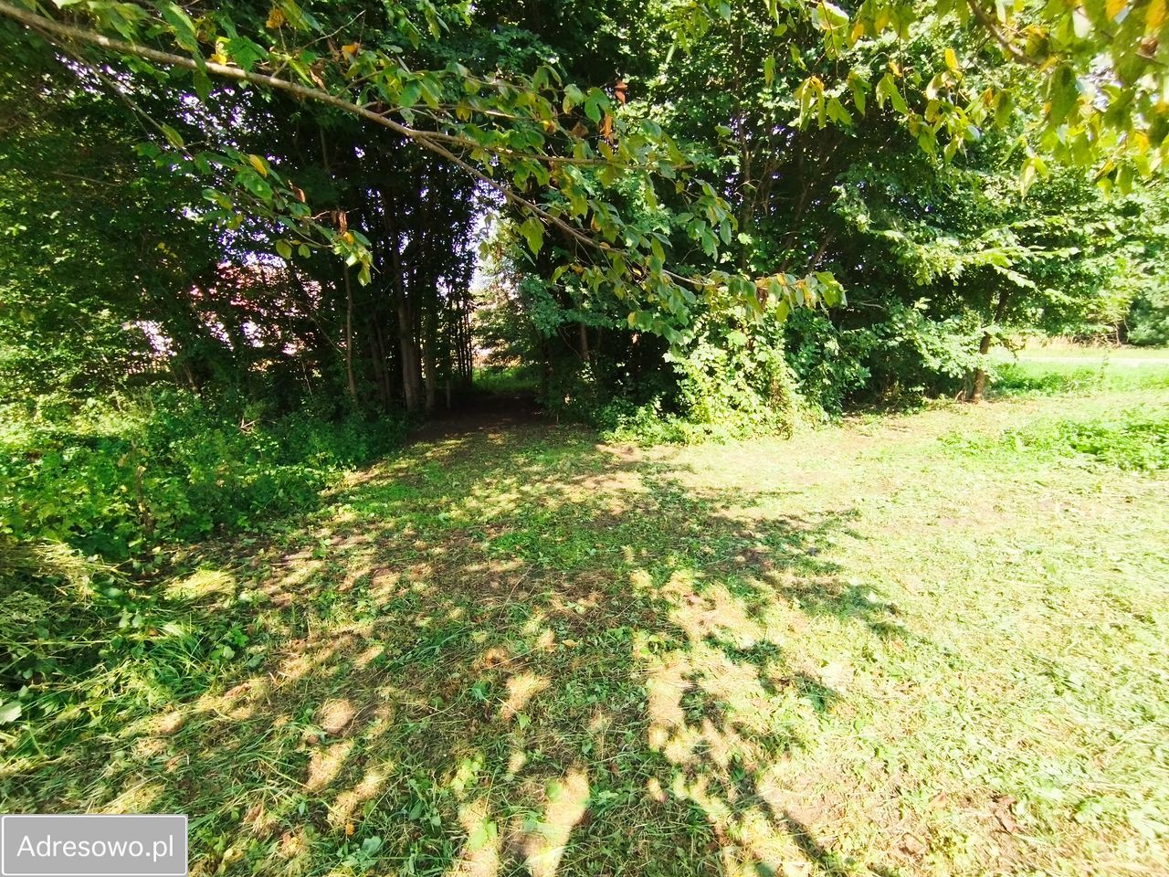 Działka rolno-budowlana Czymanowo. Zdjęcie 6