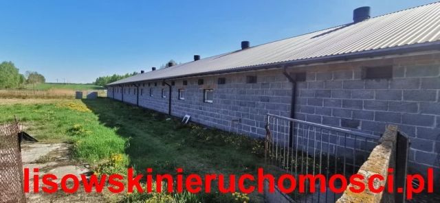 Hala/magazyn Stryków. Zdjęcie 12
