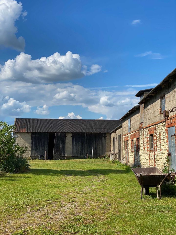 gospodarstwo Kupinin. Zdjęcie 7