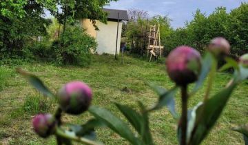 Działka rod Wrocław Ołtaszyn, ul. gen. Stefana Grota-Roweckiego