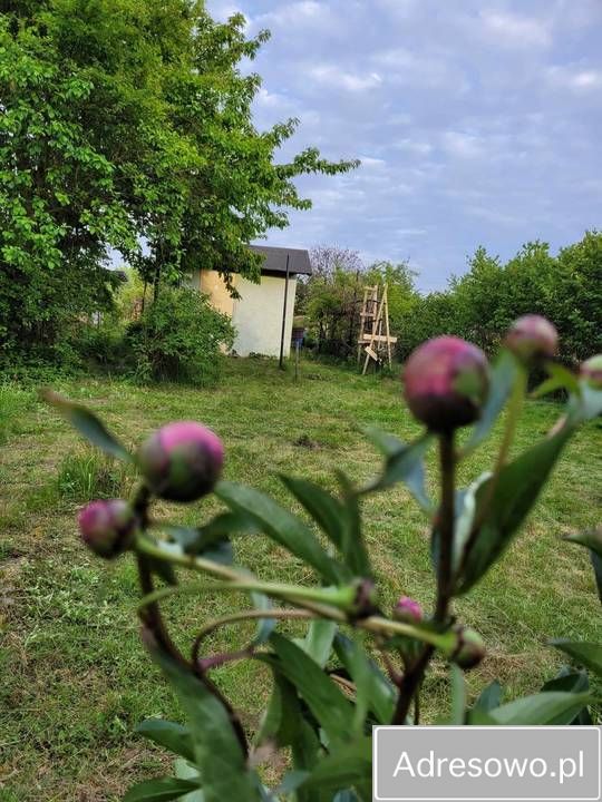 Działka rod Wrocław Ołtaszyn, ul. gen. Stefana Grota-Roweckiego. Zdjęcie 2